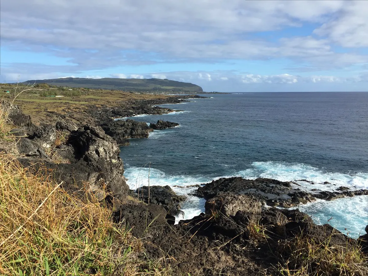 Funchal 2026 Travel Guide: Flower Festival, Dining & Hotels