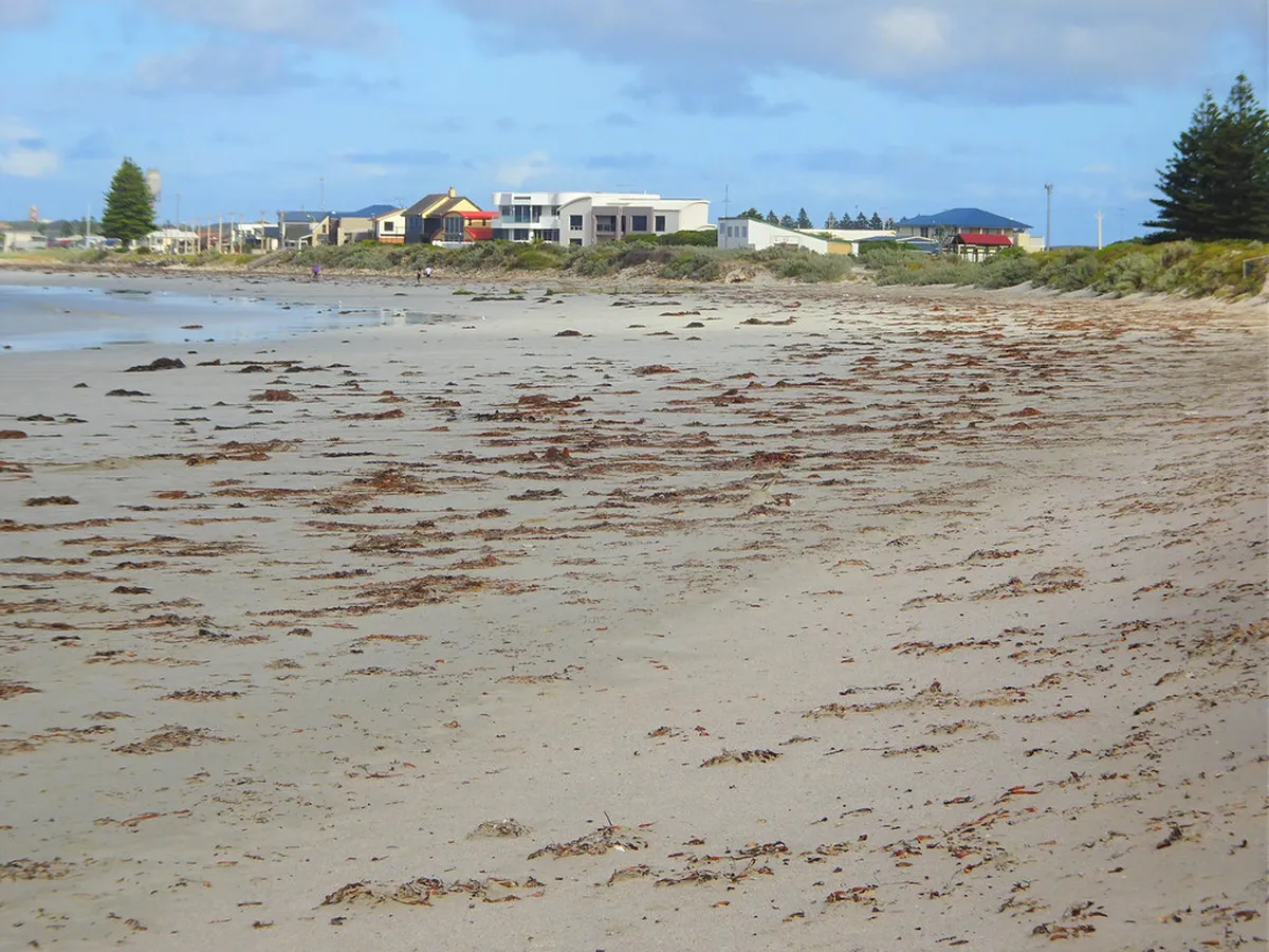 Porto 2026 Travel Guide: New Hotels, Museums & Metro Updates