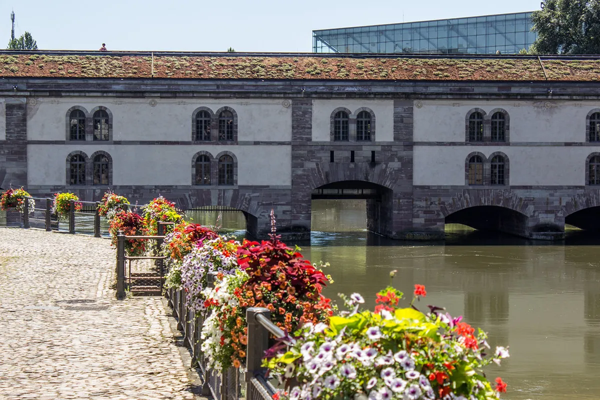 2026 Basel Travel Guide: Art Basel, Museums & City Updates